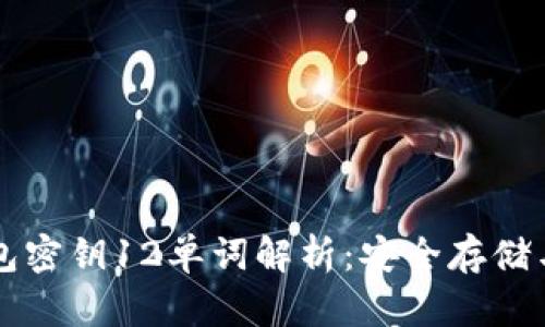 比特币钱包密钥12单词解析：安全存储与使用指南